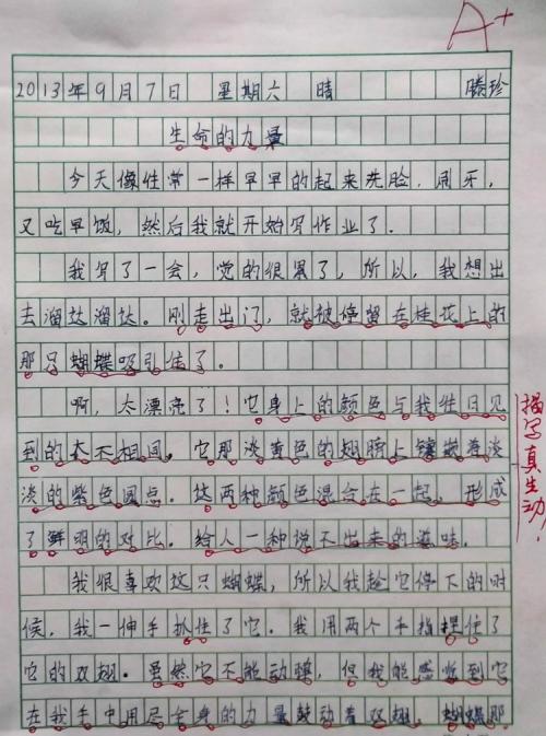 关于动物灵感的构图