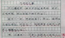 关于动物启示的作文