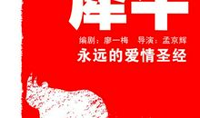 恋爱的犀牛观后感