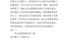 难忘的除夕夜作文