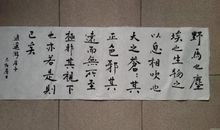 庄子逍遥游读后感