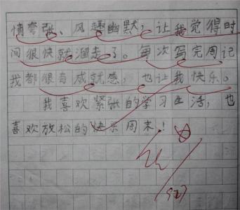 初中暑假作文700字