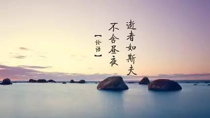 关于成年人的美丽的组成