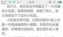 有关松鼠的读后感