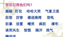 跟踪台风的卫星读后感