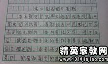 夏天的昆虫读后感