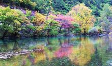 九寨沟游记作文