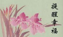 毕淑敏散文读后感500