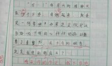 关于鸟的作文300字
