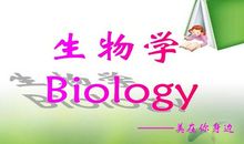 美就在身边初中作文