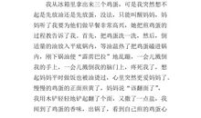 关于鸡蛋的作文