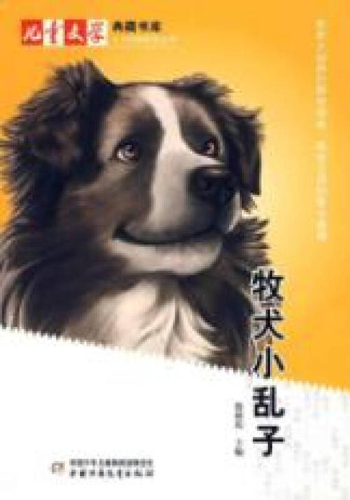 看完后的牧羊犬一团糟