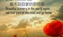 《秒懂男人》经典语录