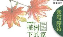 槭树下的家读后感