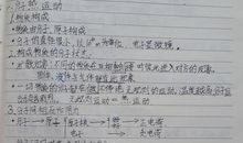 九一八事变作文