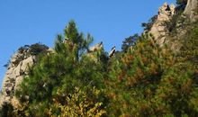 一次难忘的经历