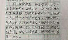 原来如此美丽作文