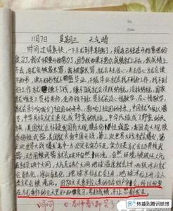 一周的经历组成