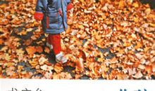 读《孩子你慢慢来》有感