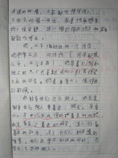 关于背面的组成