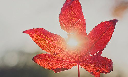 对待自己500个单词