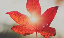 善待自己作文500字