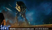 职场中要学会做只隐者龟