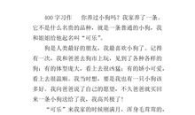 动物给我的启示作文