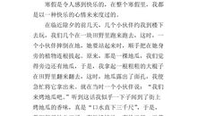 寒假见闻作文300字