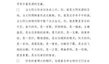 我最喜欢的人作文500字