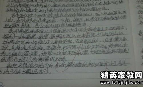 如何写初中的感情