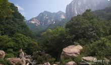 总统是靠不住的读后感