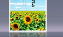 热爱生命读后感450字