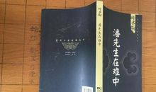 潘先生在难中读后感