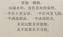 我想变成一棵树400字