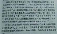 关于兴趣爱好的作文