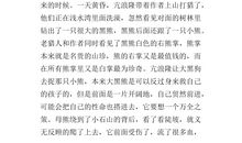 黑熊舞蹈家的读后感