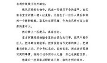 堂吉诃德读后感1000字