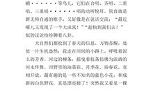 为自己喝彩作文350字