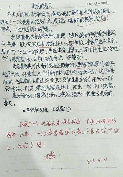 春天的花朵组成