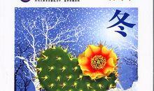 思维与智慧读后感