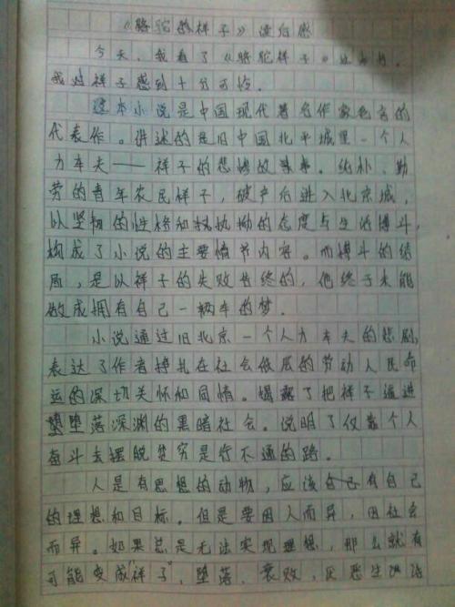 看完著名论文1500字