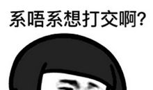 粤语骂人的话