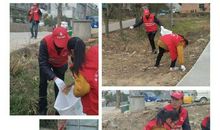 小学生寒假见闻