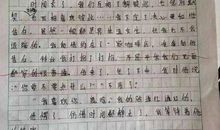 全家人为我而高兴作文