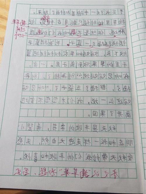 200字的课外生活构成