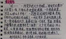 辛亥革命读后感500字