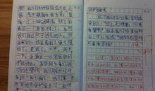 记一次春季运动会作文