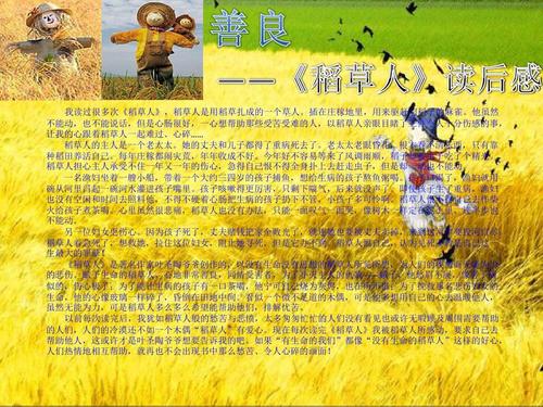 看了500本《稻草人》