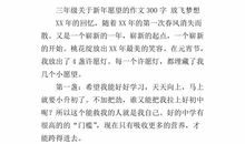过年的作文300字